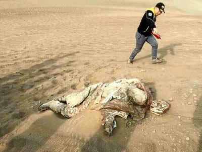 新疆罗布泊镜像人事件，这算是科幻事件吗？？