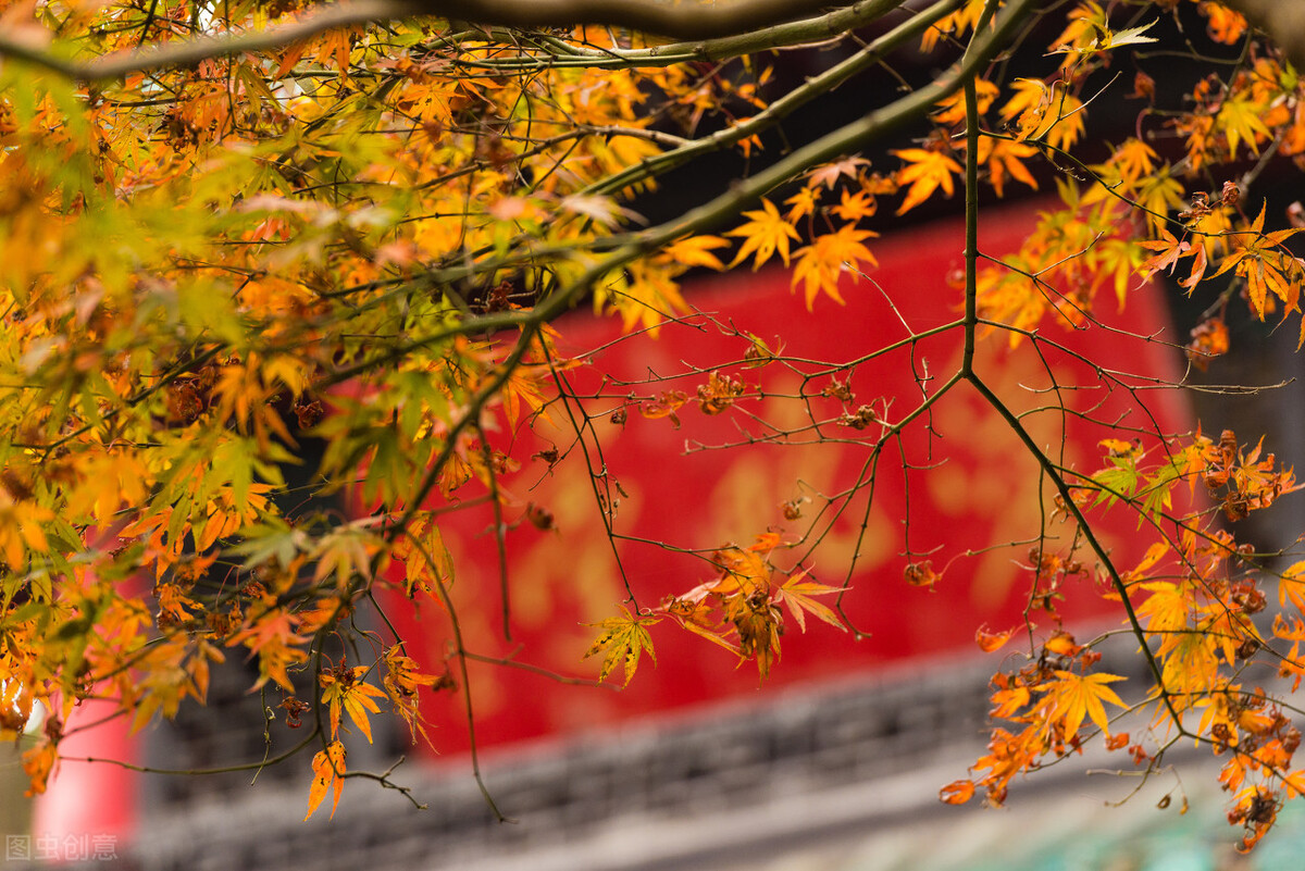 9月不可错过的这15处初秋美景，领略中国最美的秋色，美得不像话插图64