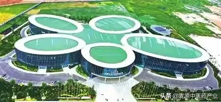 “链”出高质量 增添新引擎——陇西县中医药产业发展纪实