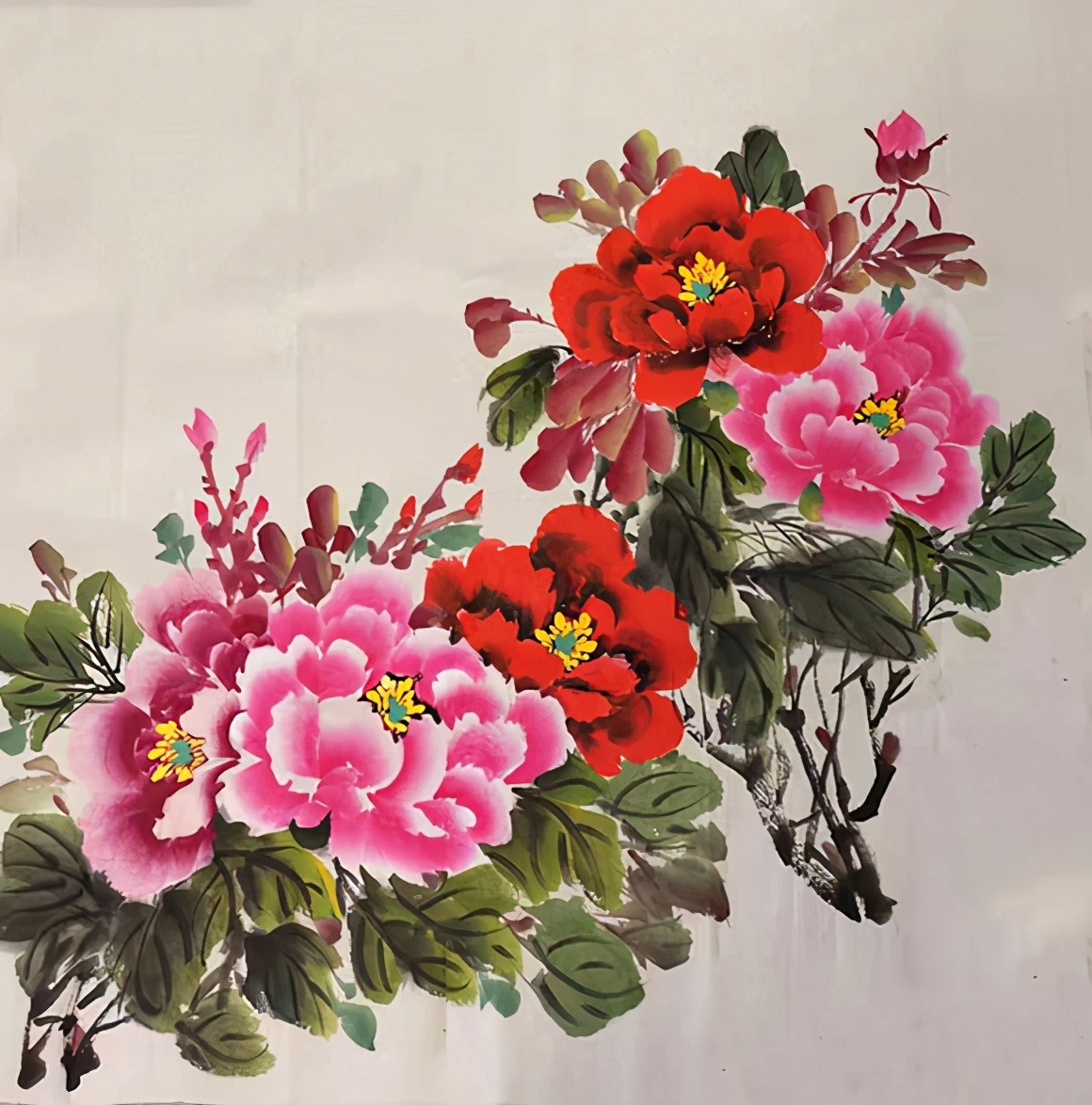 花鸟画家杨淑英作品 雅俗共赏 妙趣横生