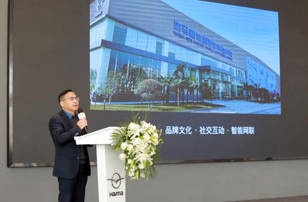 大河报汽车网