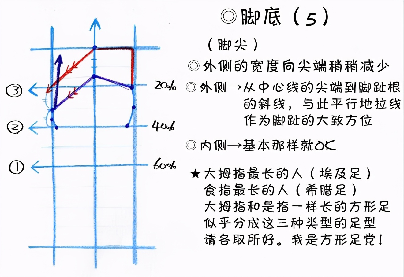 新手画脚难到升天？人物脚部不会画？“正经”脚部画法教程来啦