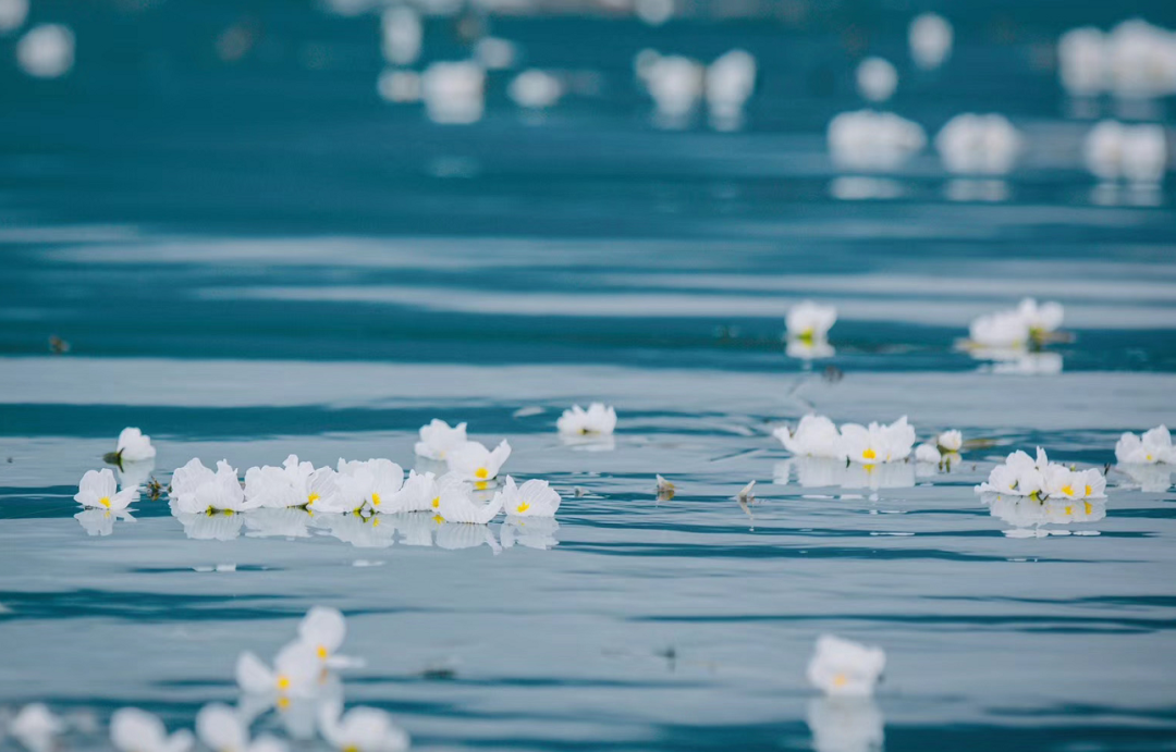 Coming to Lugu Lake will make people wonder if they are willing to forget the time and forget themselves in their dreams