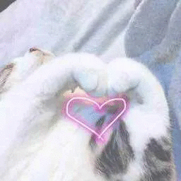 我们该如何借助短视频平台机制把作品推上热门？