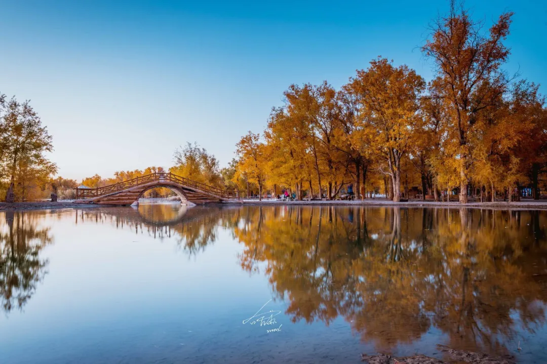秋天的童话不只在稻城，中国最勾魂的秋色尽在内蒙古额济纳胡杨林