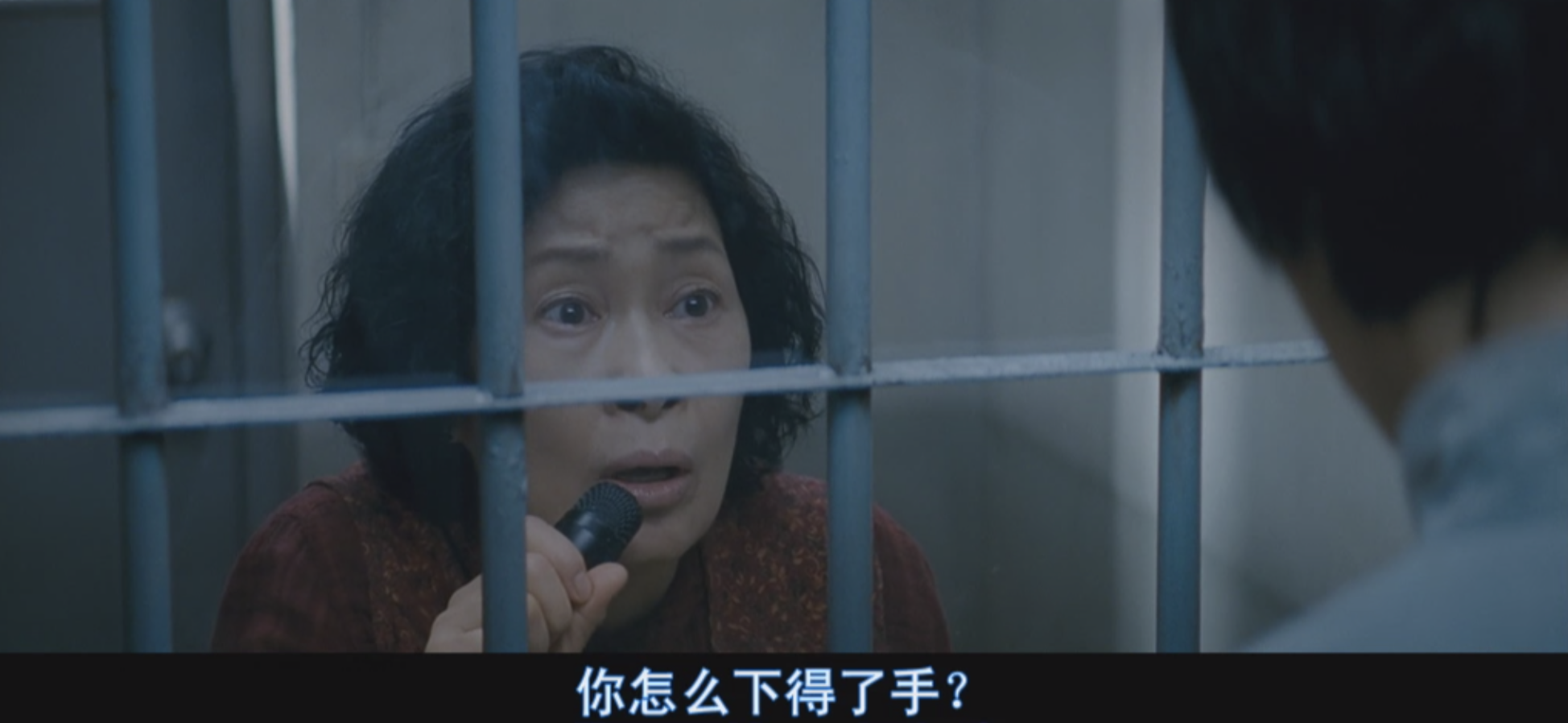 7次反转，“恋母”引发的命案，我是压着火看完的《母亲》