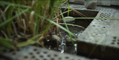 瑞典夫妻花12年为自闭症儿子建了座玻璃城堡：所