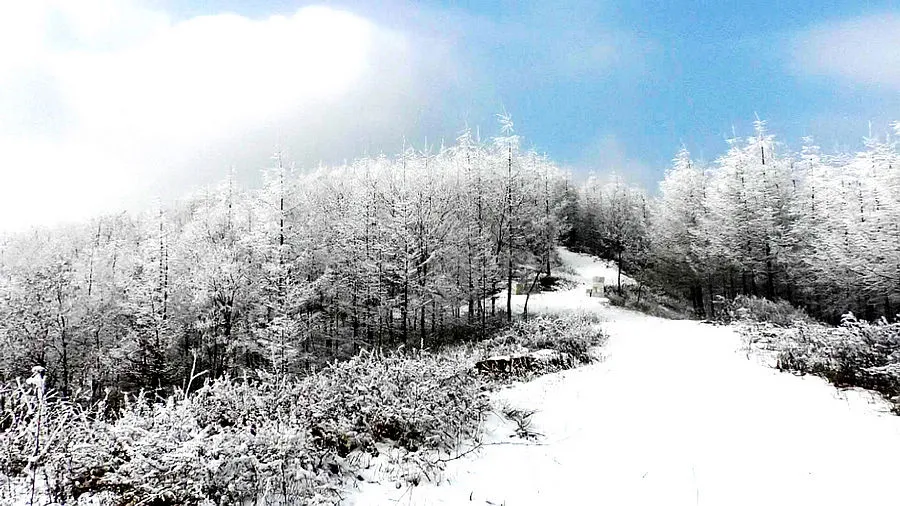 炎炎夏日，送你一组冰雪图片降降温