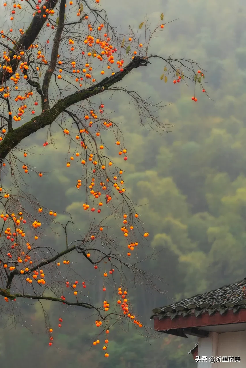 10 ancient towns with beautiful autumn colors, if you are tired, go to stay for a few days