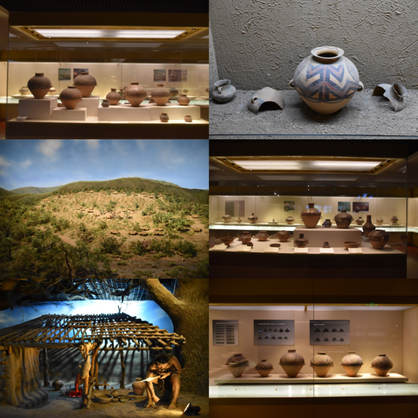 ������ʷ����֪������ʵս����ϰ����֧�ӳ�ѵ��ι�ʡ����ݼ�ʵ