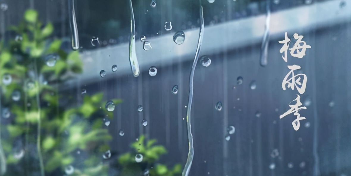 芒种节气话梅雨，浸润在梅雨里的诗意