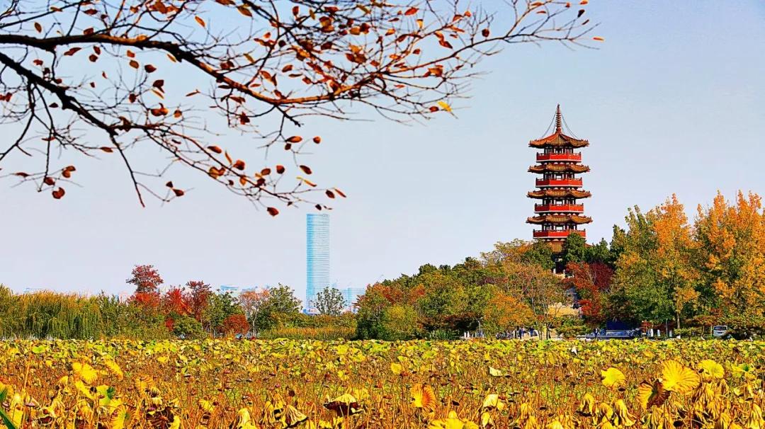这60句“神奇”的诗词，前半句默默无名，后半句流传千古-第7张图片-非凡网