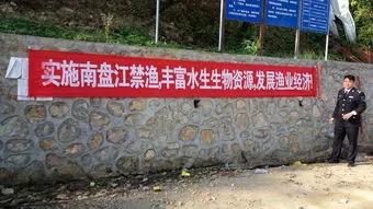 湖北销毁禁用渔具:钓鱼人背的这2个黑锅，终于可