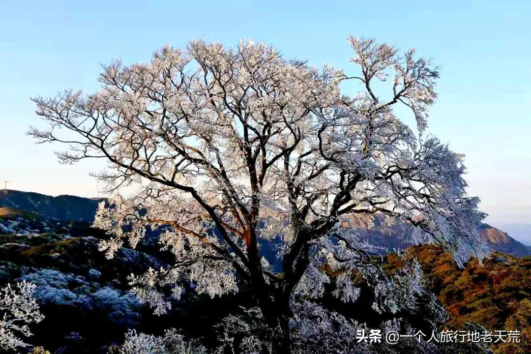 刚过完清明，这个省区又要放假了！全国人民都羡慕这里了