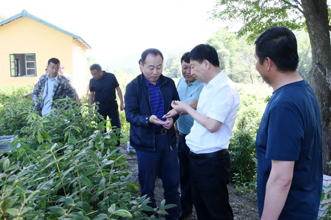 印象长白山森工：林业科技助力集团高质量发展