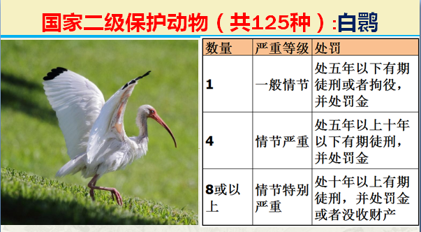 国家最新125类二级野生保护名录，图片及违法对应刑责