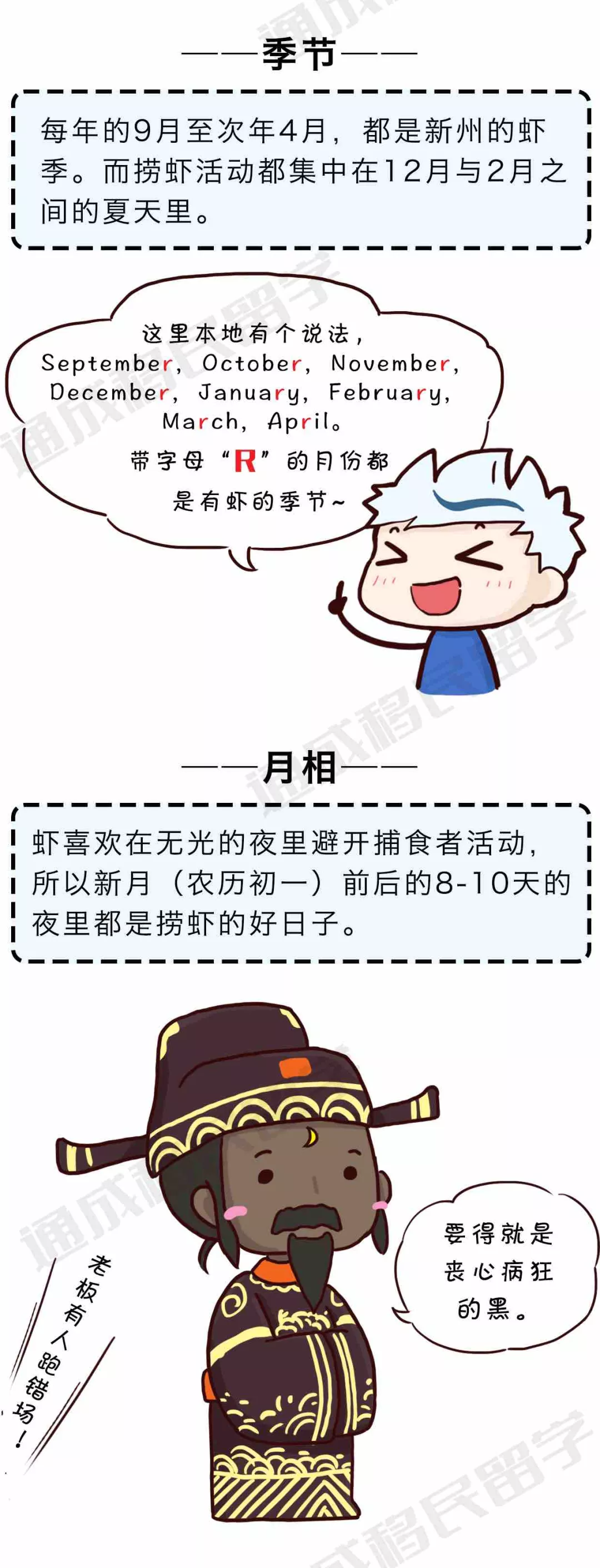 【通小成条漫】悉尼捞虾全攻略