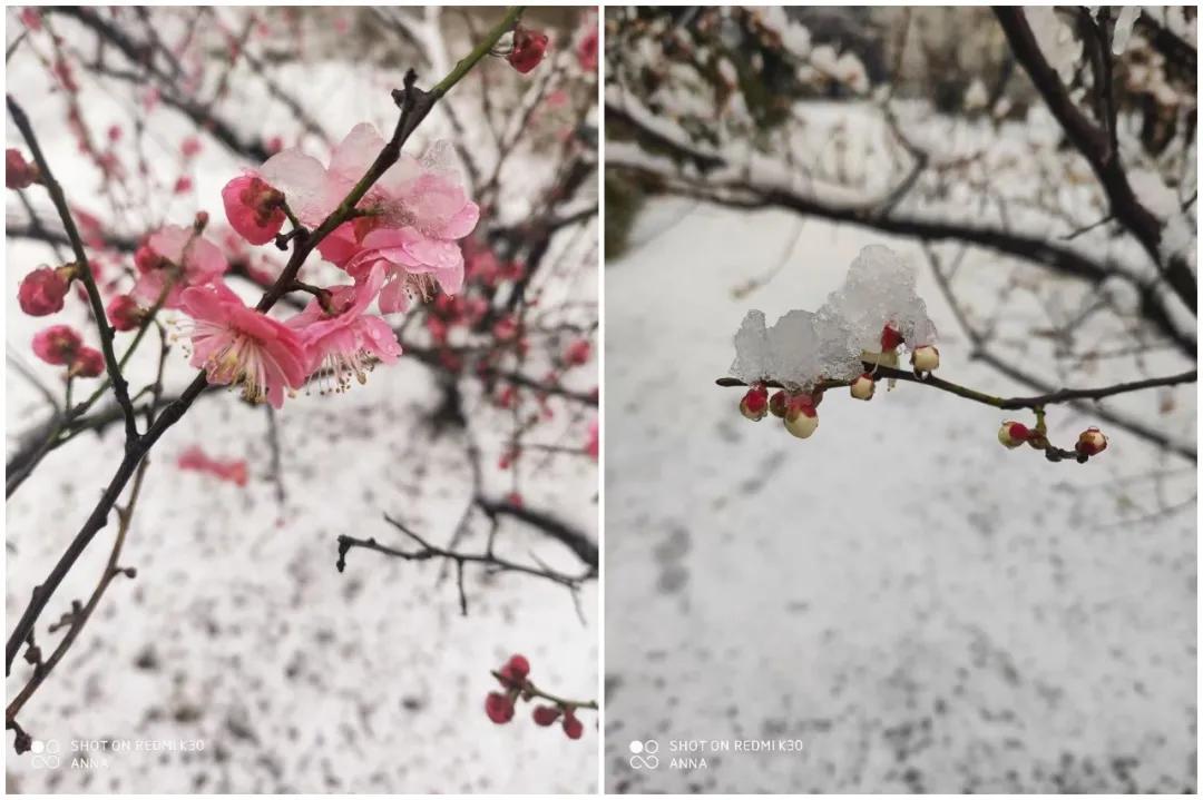牛年第一场雪来啦！临沂继续发布道路结冰黄色预警