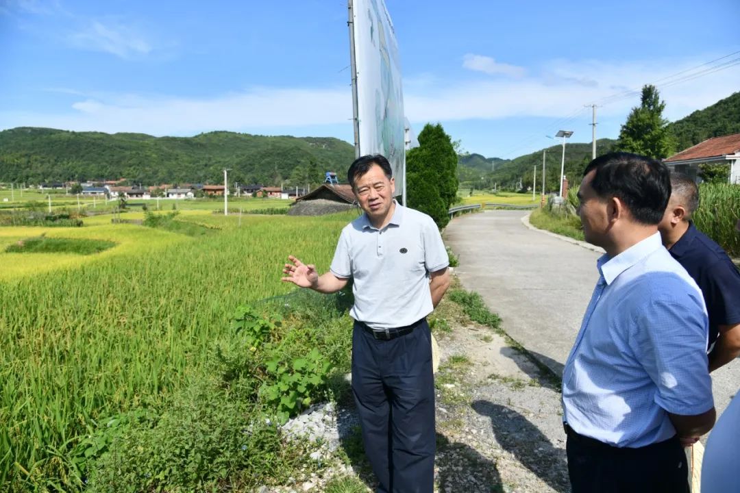 石希欣在鹤城黄岩调研文旅产业时指出 坚持统筹规划深度融合 推动乡村旅游高质量可持续发展