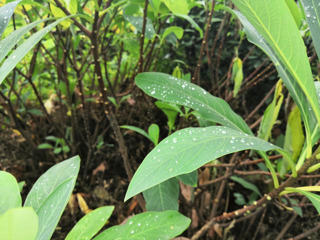 天上掉馅饼，我被砸中了