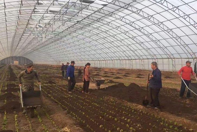 农村创业怎么选？3大具有潜力的创业项目，都是“干什么”的？