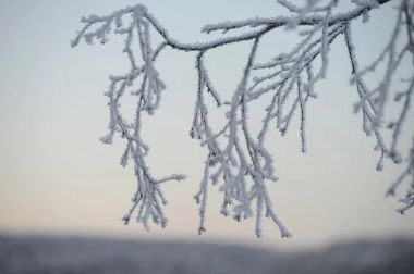 八首诗词，写尽冬日之美-第4张图片-诗句网