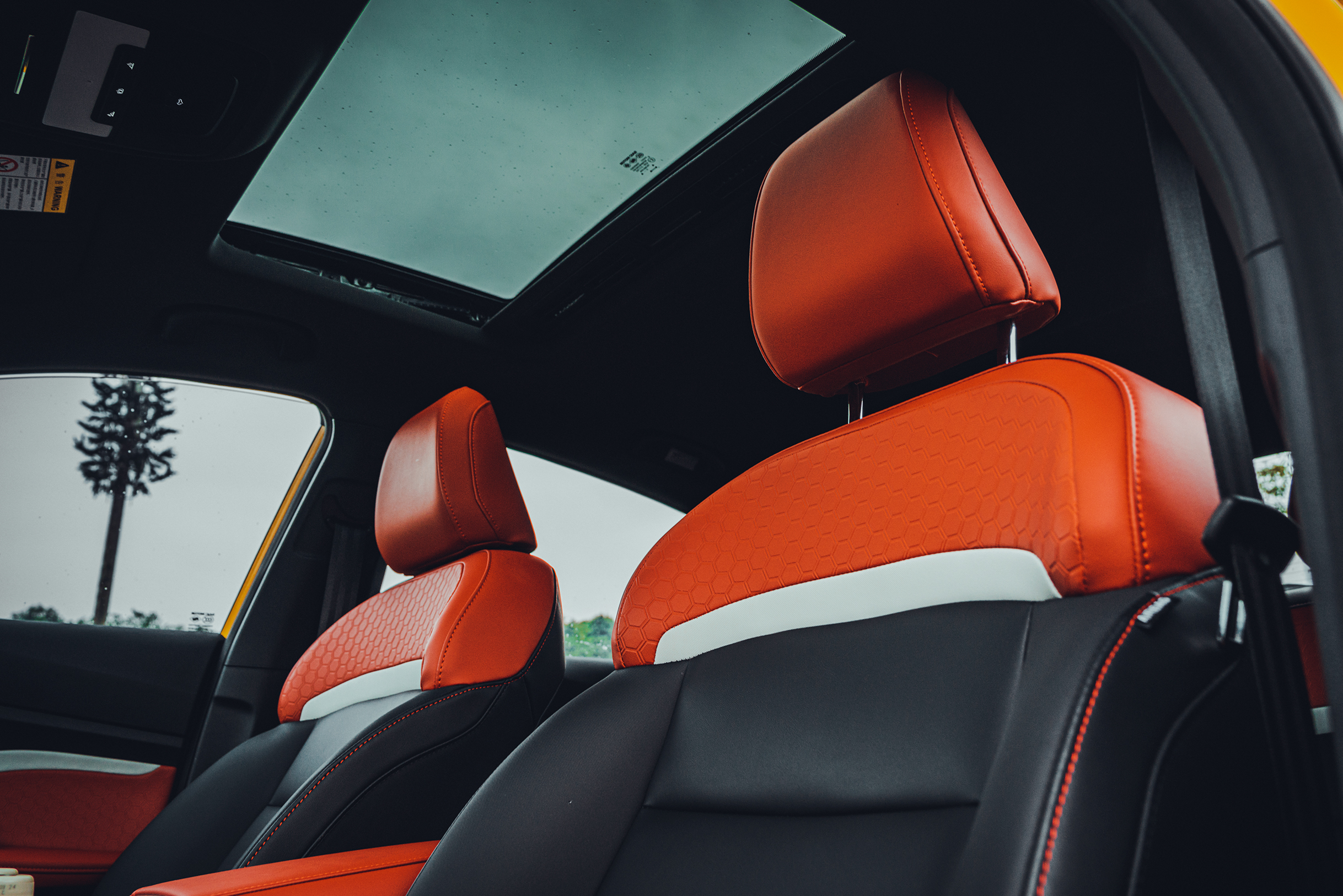 骚气的皮囊下，有趣的灵魂也要能“运动”