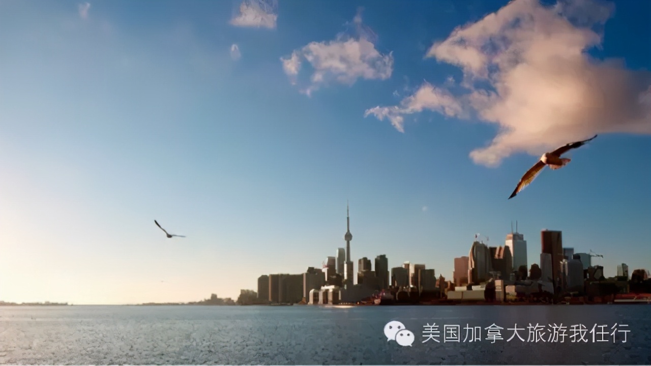 「粉丝原创」沉醉你的容颜