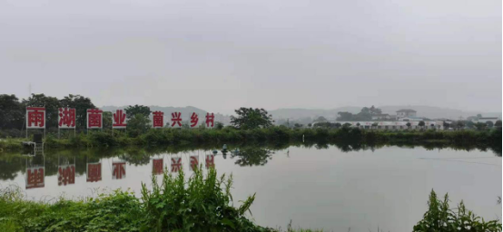 湖南移动：让“5G智慧”惠及工农