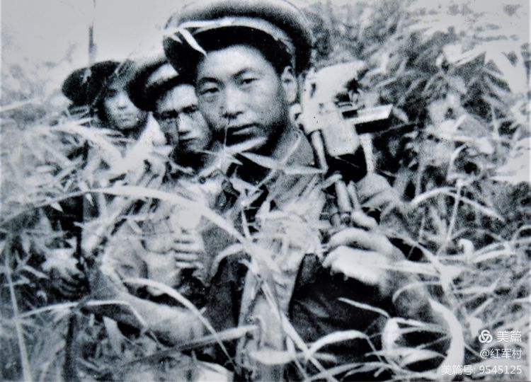 解放初期福建地区剿匪记