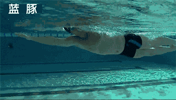 游泳基础的练习方法，新手学游泳要循序渐进