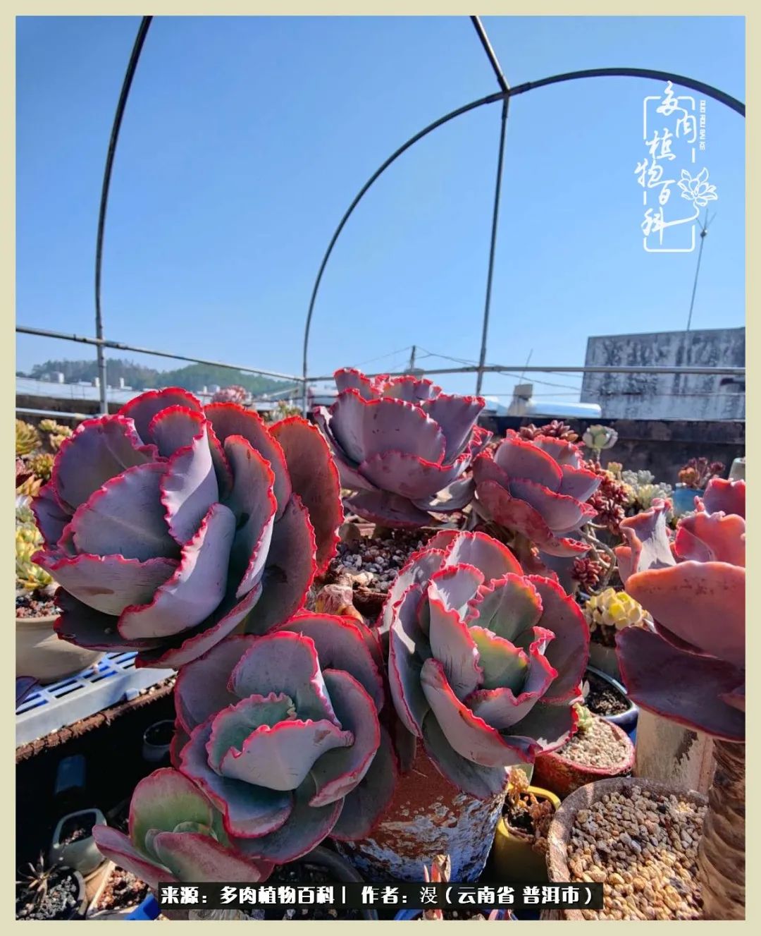 深情不及久伴，厚爱无需多言，择一“爱”，护一生