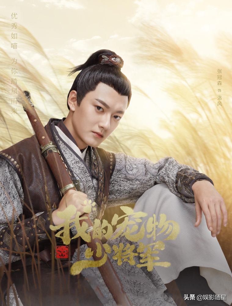 《我的宠物少将军》今晚首播，3大导演联合执导，这阵容堪称无敌