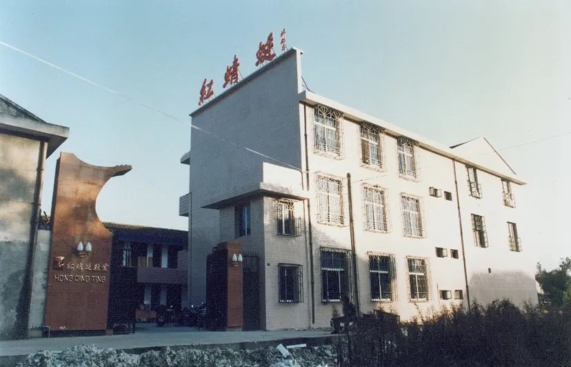 鞋王钱金波：一年赔了5000万，红蜻蜓一飞，就是