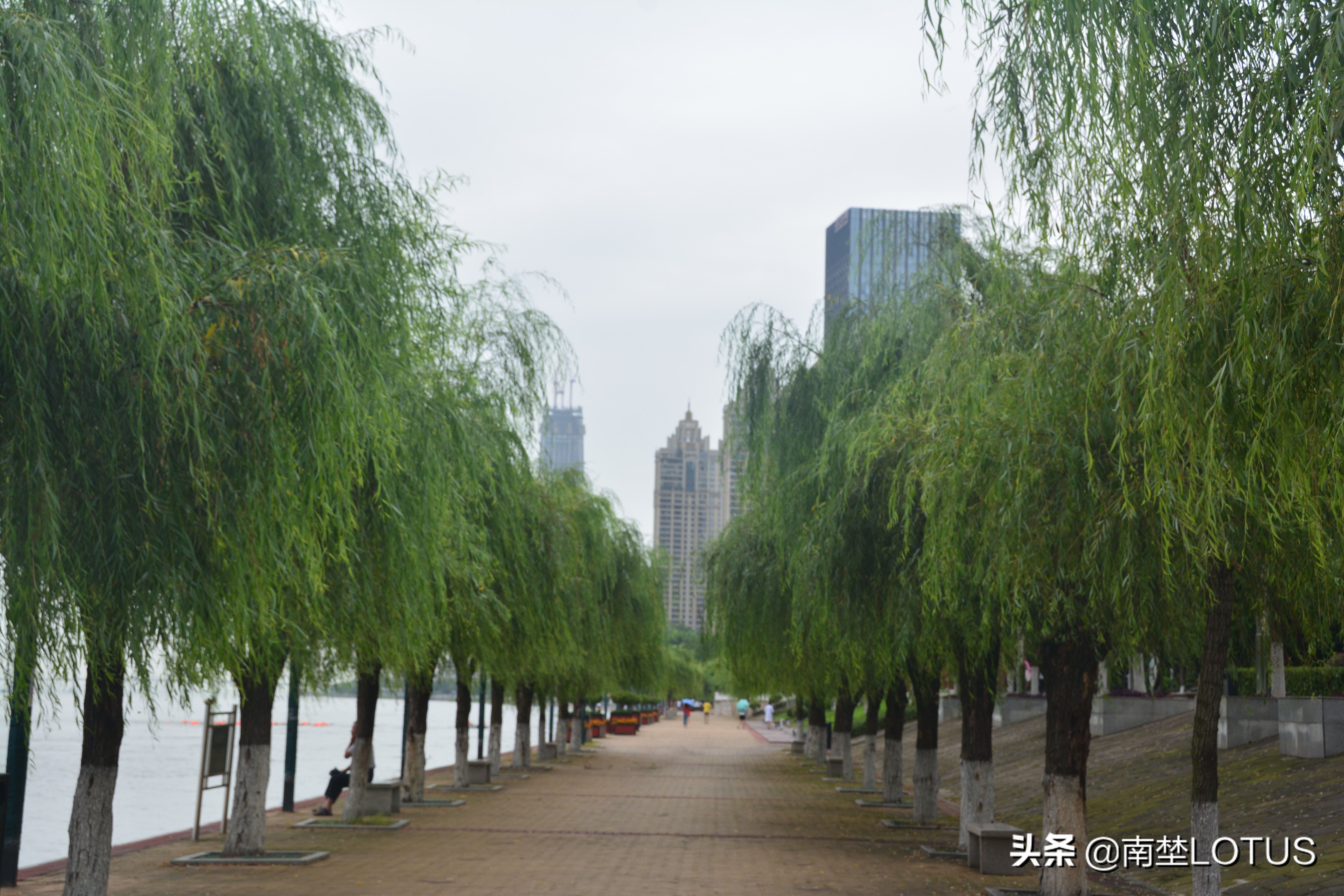 暴风雨也浇灭不了我们的热情(暴风雨浇灭不了江城716横渡长江游泳健将们的训练热情)