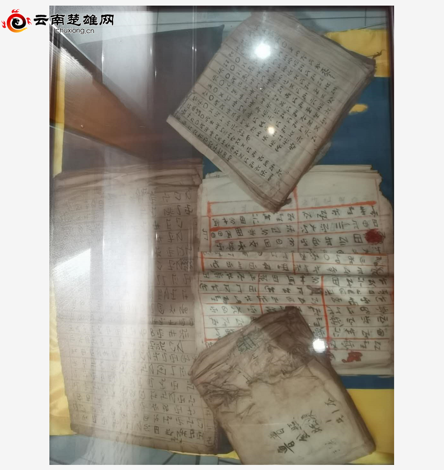 全国首个彝医药主题博览馆在楚雄州建成开馆