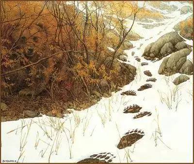 传说中15张超神奇的图，听说智商多少一看就暴露