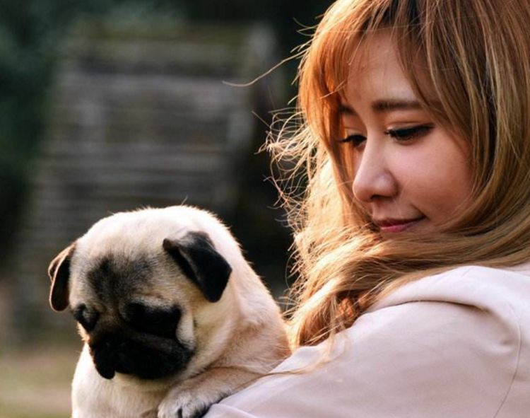 狗狗记住主人只需3个月，忘记主人要多久？答案你想不到