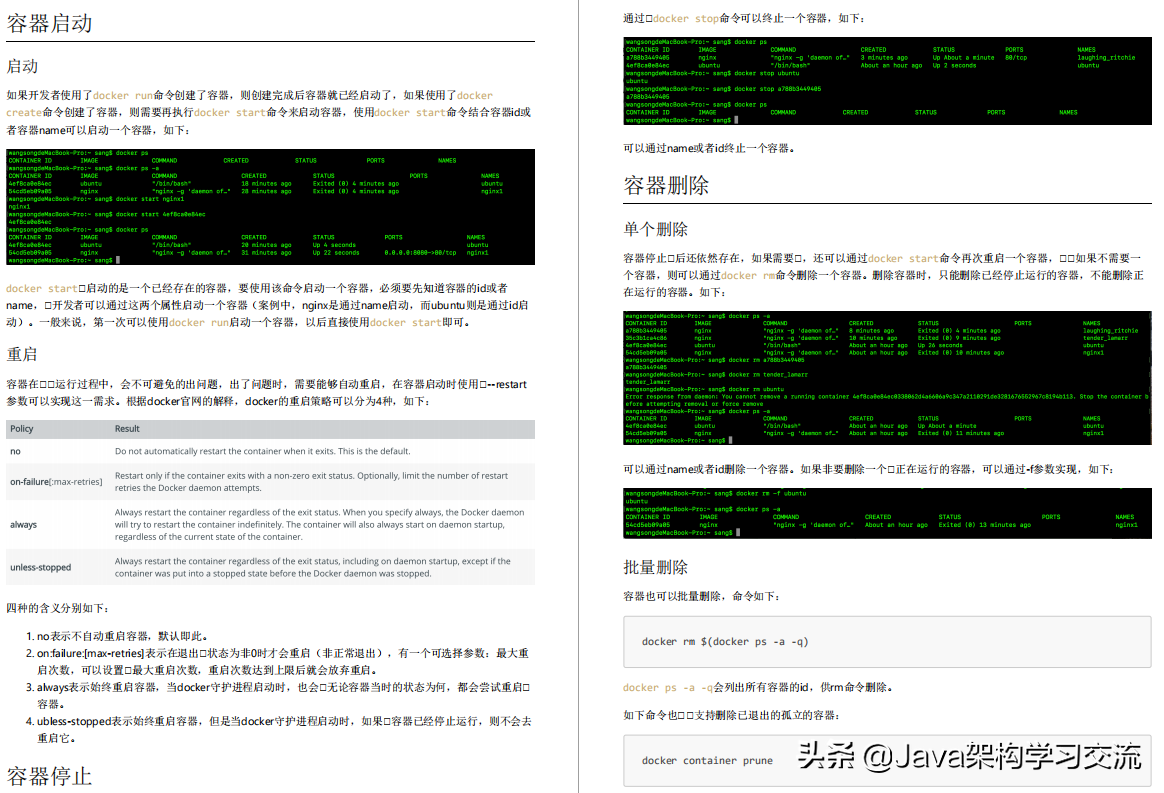 全网独家首发！Docker顶级教程，简直把所有知识点都涵盖起来了