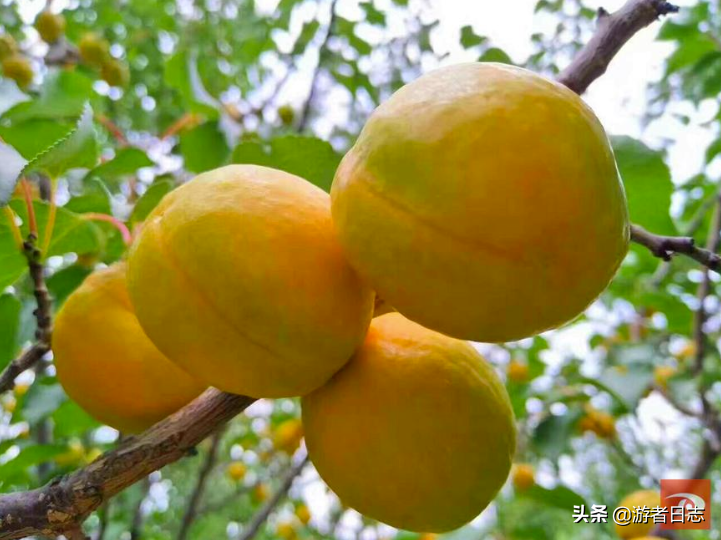 走进“东亚文化之都”：购在敦煌