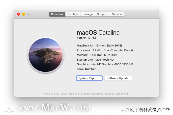 怎样在MacBook上搜索系列号？