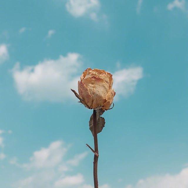 5.4青年节青春无敌祝福短信，句句精选，节日快乐！