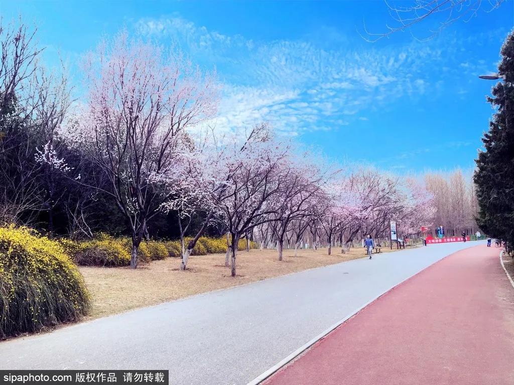 北京這些超經典的免費景點,還有哪個沒去過?