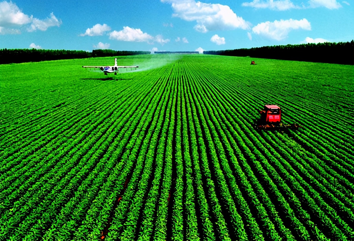 中国农业500强企业分布:四川,江苏各61家,内蒙古10家