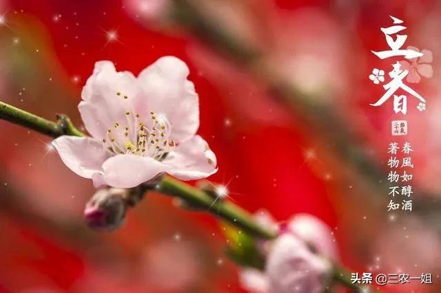 今日立春，立春有那些禁忌？老話“立春三要吃三不做”是指哪些？