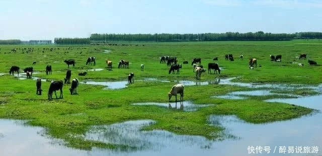 北大荒”为何要退耕还“荒”？真相是这样的，