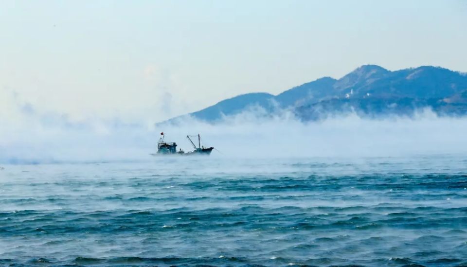 北极寒潮来袭，大海没冰冻还“沸腾”了，大连青岛现“海浩”奇观