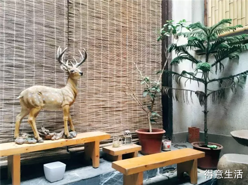 万万没想到！吃完它们之后，我彻底被“绿”了