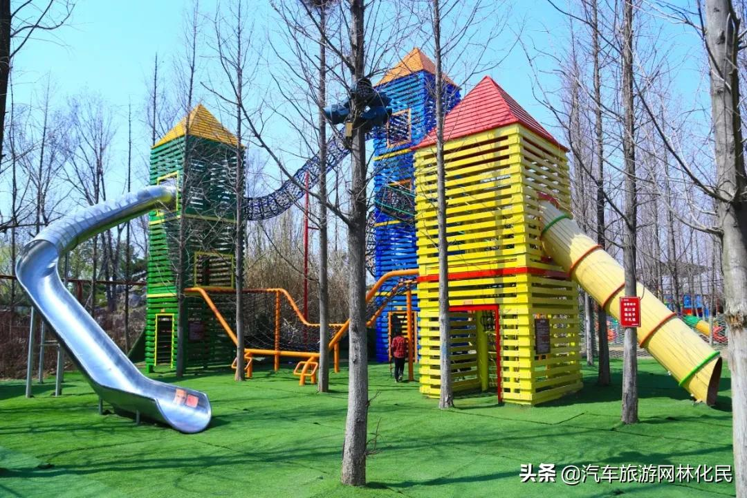 6.1大放价！！！“你好，恐龙先生”儿童节神秘来袭