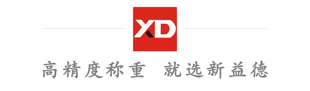 新益德检定6000e、显示10000d高精度平台秤测试记录全过程曝光